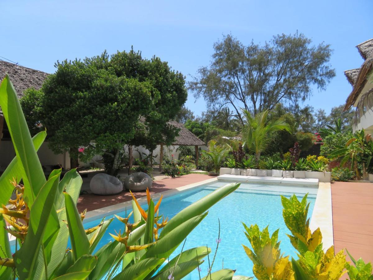 Kuwa Zanzibar Kiwengwa (Zanzibar) Exterior foto